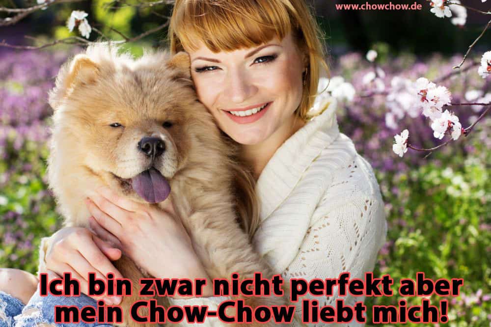 Eine Frau umarmt ihren Chow-Chow